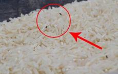 大米生蟲子處理小訣竅，6個方法你必須知道(不能太陽暴曬)